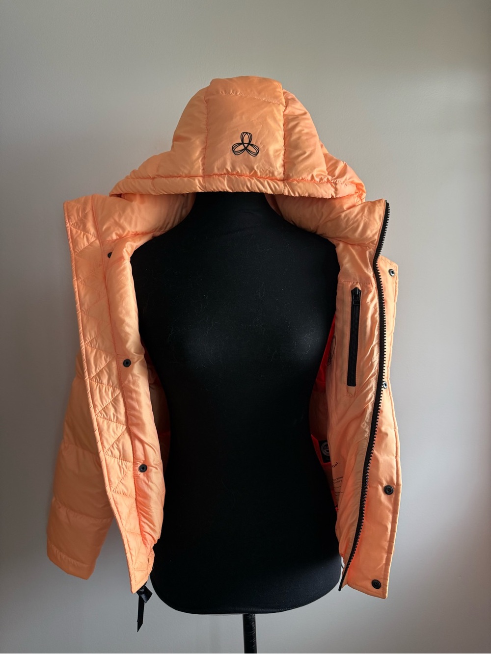 Limited Edition Aritzia THE SUPER PUFF - Picture 5 of 9